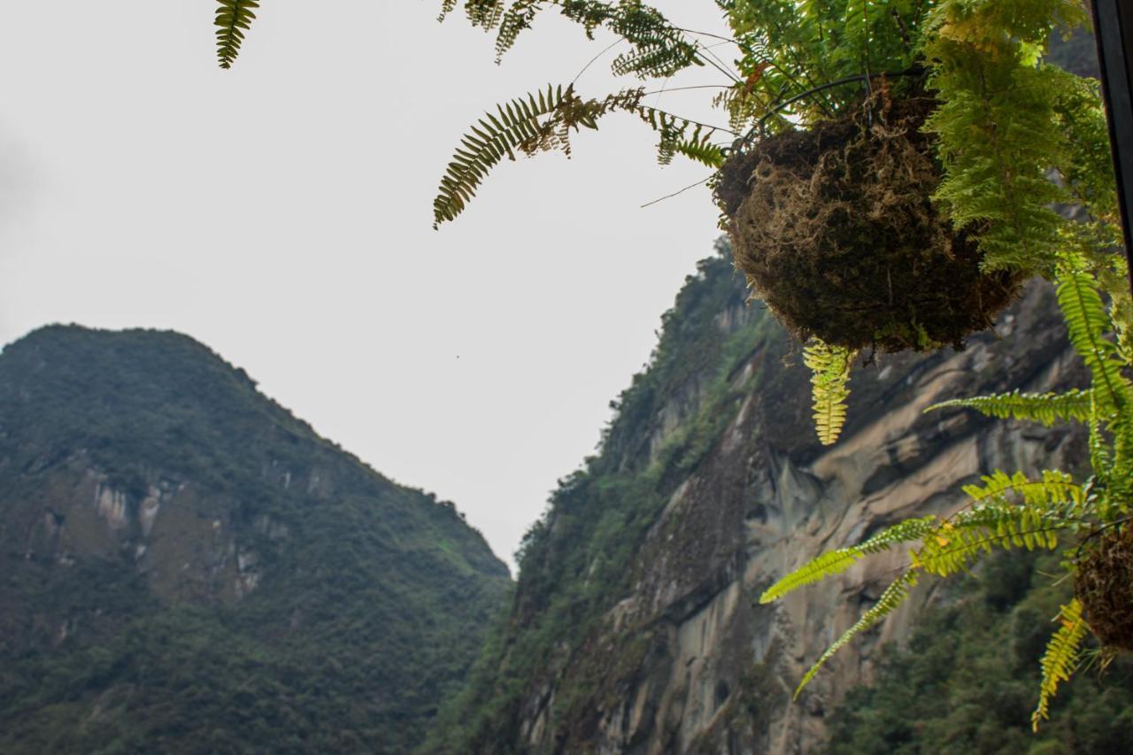 Runas Inn Machupicchu Eksteriør billede