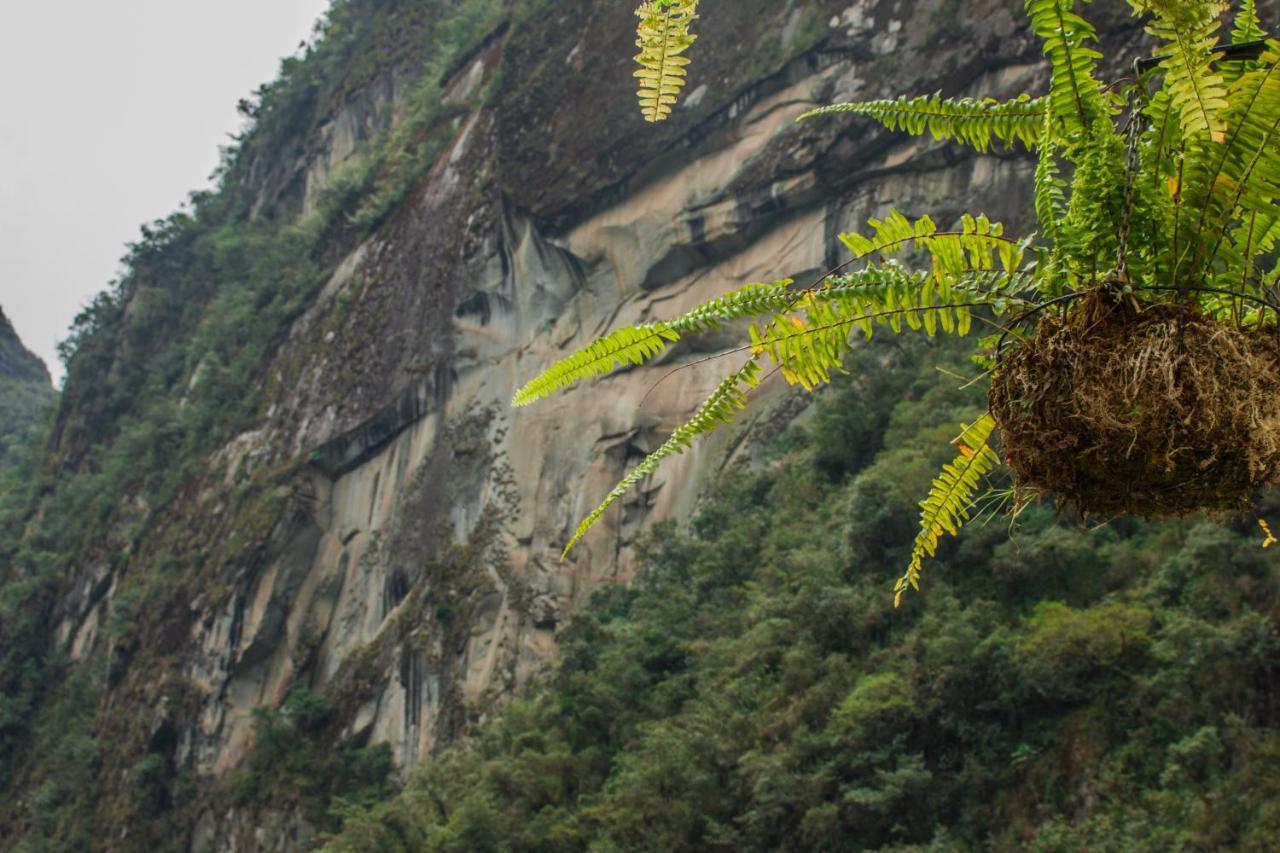 Runas Inn Machupicchu Eksteriør billede